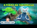 Octonautas - 🐢 A Febre da Tartaruga 🎉 | Compilação | Episódios inteiros