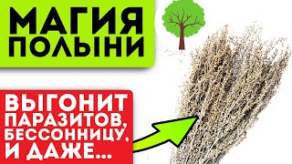 Пара ложек ставит на ноги всю семью! Мужская сила, сердце, почки …