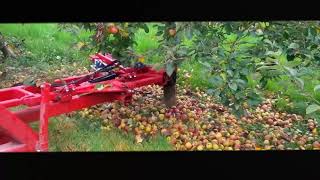 Amazing Apple picking machine