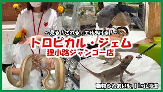 【トロピカル・ジェム 狸小路ジャンゴー店】動物ふれあいNo 1in北海道～トリと爬虫類の楽園‼～