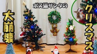 ボス猫サンタの大崩壊クリスマス