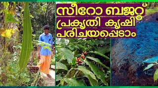 Zero budget nature farming Let's get acquainted | organic farm fertilizer #Subhash palekar methods.