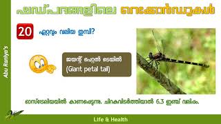 ഷഡ്പദം അഥവാ പ്രാണികളിലെ റെക്കോര്‍ഡുകള്‍