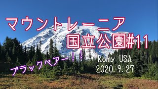 【マウントレーニア国立公園】Mt.Rainier 絶景ハイキング#11