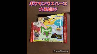 【お菓子】ポケモンウエハースチョコ　シール　アニポケ　六英雄　開封57