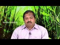 குழந்தைகளின் அறிவாற்றலை அதிகரிக்கும் உணவுகள் dr.sivaraman speech on foods to improve child brain