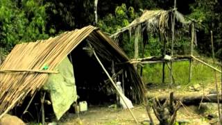 2010 ICPS conference lecture, Stewart McPherson: Nepenthes of the Philippines.