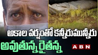 అకాల వర్షంతో కన్నీరుమున్నీరు అవుతున్న రైతన్న | Farmers Facing Problems Wuth Sudden Rains | ABN