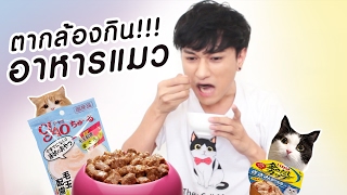 Theycallmemeaow | ตากล้องกินอาหารแมว