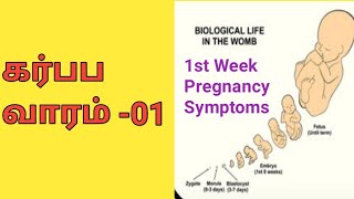 1st week pregnancy Symptoms in tamil கர்ப்பம்  முதல் வாரம் /First week pregnancy symptoms in tamil