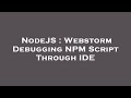 NodeJS : Webstorm Debugging NPM Script Through IDE