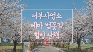 대구 벚꽃 명소! 서부사업소 벚꽃길🌺 l 플리마켓🛒l 가족 나들이, 데이트, 여행, 이벤트