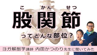 「股関節｜こかんせつ」って何！？ヨガ解剖学講師、内田かつのり先生に聞いてみた。