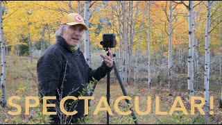 Photographing spectacular AUTUMN colour | The CANADIAN Rockies