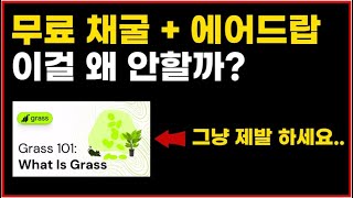 극초기 무조건 합시다! 수천만원 먹여줄 무료 채굴 에어드랍(GRASS ALPHA)