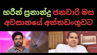 හරීන් ප්‍රනාන්දු ජනවාරි මස අවසානයේ අත්තඩංගුවට. #sinhala #anurakumaradissanayake #nppsrilanka