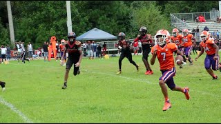 11U North Henry Tigers vs Falcons United