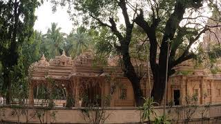 Kolanupaka Jain temple | telangana tourism | Best place to visit in telangana in 2021 #shorts