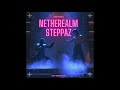 Worldwide Reaver | Netherealm Steppaz (DMV MIX) (SLOWED + REVERB)