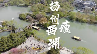 烟花三月“上扬州”，夜游瘦西湖