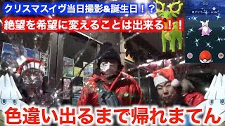 絶望のクリスマスイヴ！メリクリ対象色違い出すまで帰れまてん【ポケモンGO】