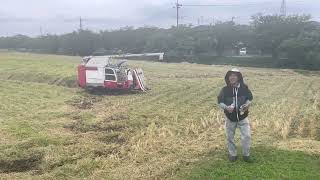 雷のため、午後の作業は中止？/Afternoon work cancelled due to thunderstorm ?