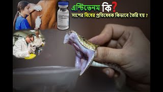 এন্টিভেনম কি?রহস্য জাল।কিভাবে তৈরি হয় সাপের বিষের Antivenom How to make ?Rahasya_Jaal_official-