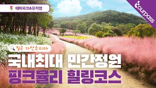 국내 최대규모 댑싸리 핑크뮬리 가산수피아  국내여행 가을여행 칠곡 가산수피아 투어패스