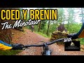 The Minotaur Mountain Bike Trail - Coed Y Brenin