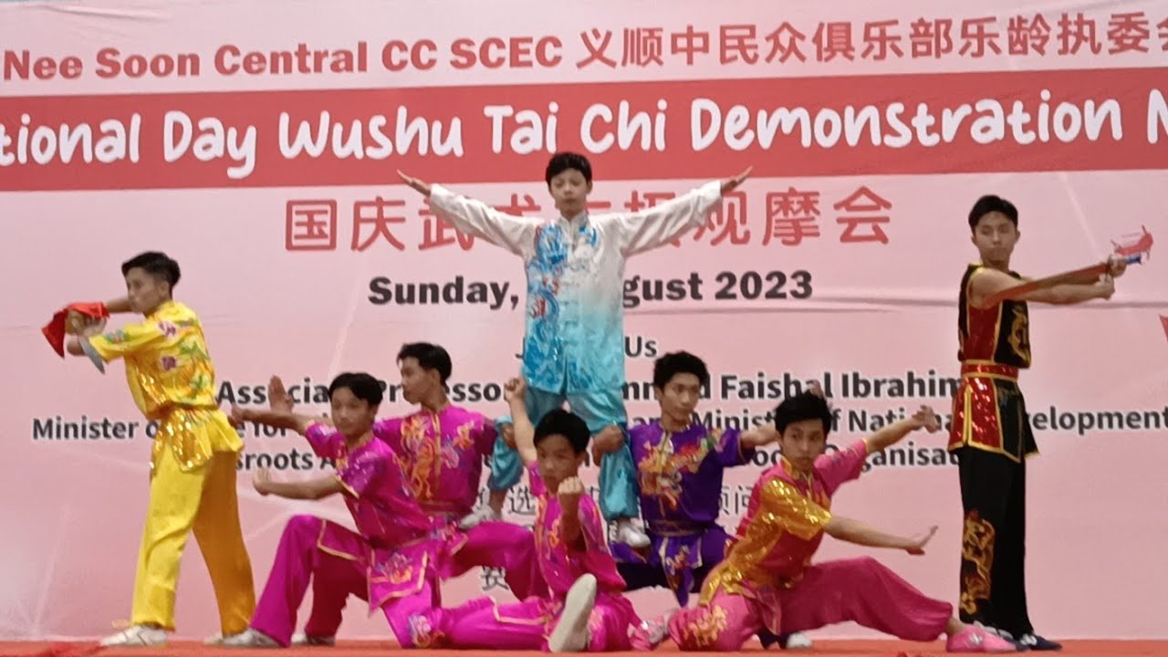 Wushu Performance 武术表演 Youtube
