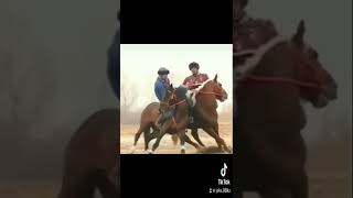 Ат деп осын айт🐎