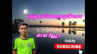 ស្រឡាញ់មេម៉ាយខុសច្បាប់មែនទេ ច្រៀងឡើងវិញដោយ៖ វណ្ណៈ