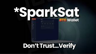 SparkSat Bitcoin Wallet: It Works Great, But There's a Problem