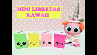 videos de casimeritos en la escuela