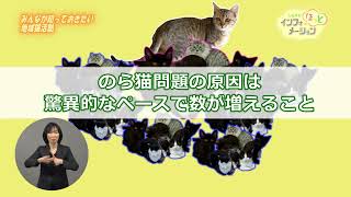 しながわほっとインフォメーション　みんなが知っておきたい地域猫活動