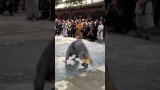 【少林功夫】蛤蟆功 | Shaolin kungfu | Chinese Kung Fu #shorts