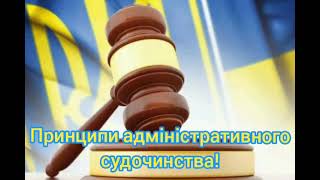 Принципи адміністративного судочинства!