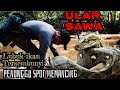 Tengah seronok memancing ikan Di spot yang MANTAP, Tiba-tiba diganggu ular Sawa besar!!!