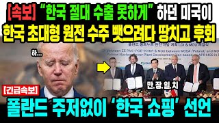 [해외반응] “한국 절대 수출 못하게” 하던 미국이 한국 초대형 원전 수주 뺏으려다 땅치고 후회. 폴란드 주저없이 한국쇼핑