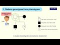 Online tutorial 25.2 Interpreting a pedigree showing the inheritance of a sex-linked characteristic