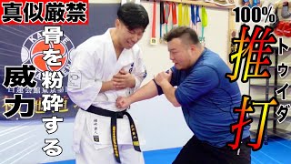 【軍事詠春拳】の1番ヤバい技【推打】の破壊力が想像を超えた