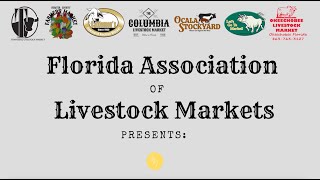 Florida Association of Livestock Markets Project (2023)