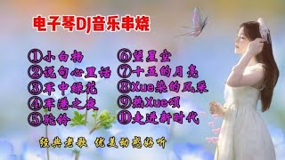 电子琴DJ音乐《小白杨》等十首串烧，经典老歌，优美动感好听