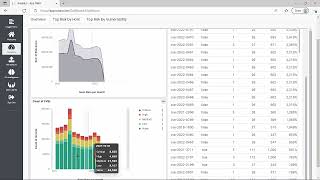 TARA Risk Summary