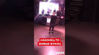 Глава Федеральной Пассажирской Компании Пётр Иванов отпраздновал свой день рождения Размах был, коне