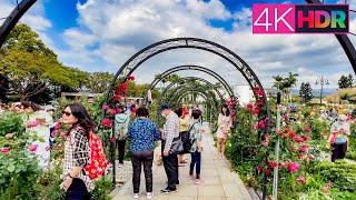 2022 Taipei Rose Festival - Taipei Expo Park, Xinsheng Area｜4K HDR【臺北玫瑰展】花博公園新生園區