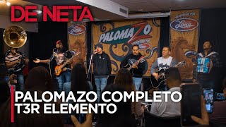 @T3RElemento : Palomazo Completo | Palomazos 2020