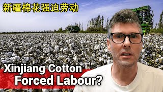 Xinjiang Cotton Forced Labour Regime // 新疆棉花强迫劳动政权