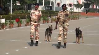 ITBP PT Demonstration at BTC, HARYANA