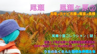 【登山】尾瀬ヶ原②（20210918）